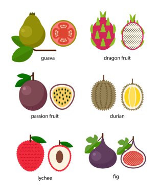 Egzotik meyve kümesi: guava, çarkıfelek meyvesi, dragon meyve, lychee, durian, incir