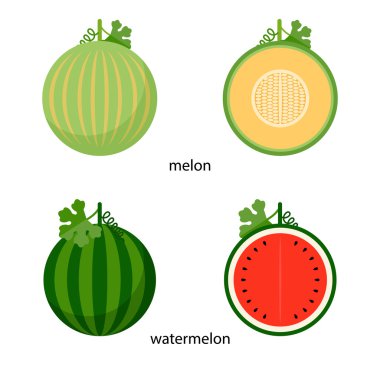 Karpuz ve kavun ve onların kesit