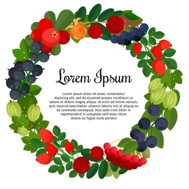 Farklı meyveleri ile yuvarlak çerçeve