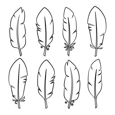 izole tüyleri beyaz zemin üzerinde bir dizi