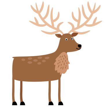 Dallı boynuzları ile güzel geyik