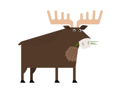 Dallı boynuzları ile bilge eski elk