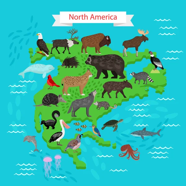 Amérique du Nord animaux et oiseaux sur la carte — Image vectorielle