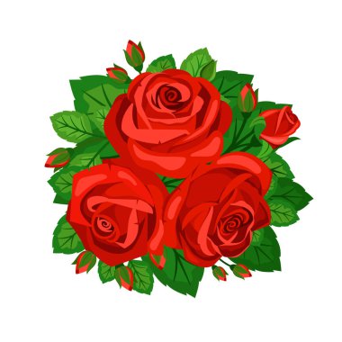 Beyaz arka planda tomurcukları olan kırmızı güller.