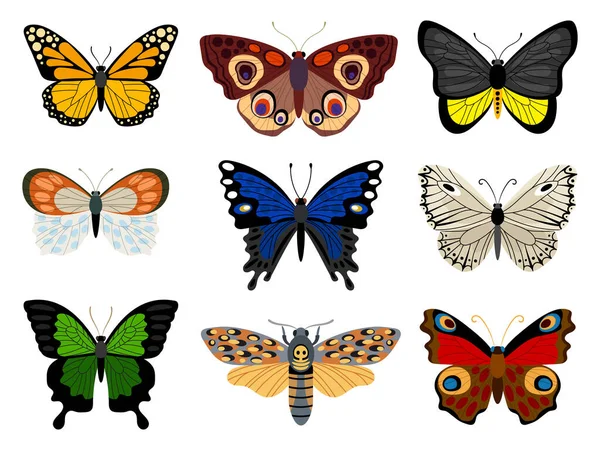 Векторна Колекція Різних Барвистих Красивих Метеликів — стоковий вектор
