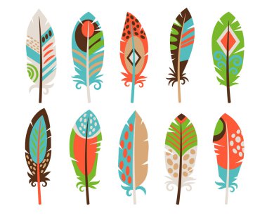 Hoş renkli izole kuş tüyleri seti.