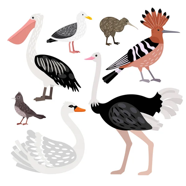 Gran conjunto agradable de aves vectoriales lindas aisladas — Archivo Imágenes Vectoriales