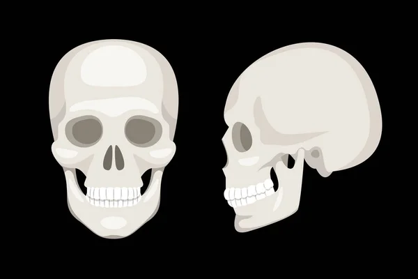 Dos cráneos humanos blancos sobre fondo negro — Vector de stock