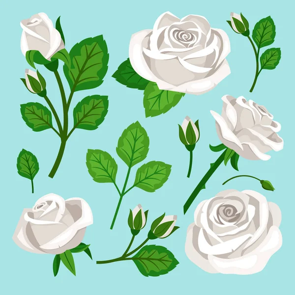 Білі троянди елементи бутонів квітів Векторний набір — стоковий вектор