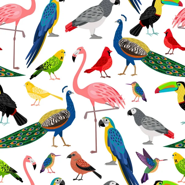 Padrão de vetor bonito com aves exóticas agradáveis —  Vetores de Stock