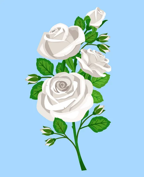 Bel fiore vettoriale isolato di rosa bianca — Vettoriale Stock