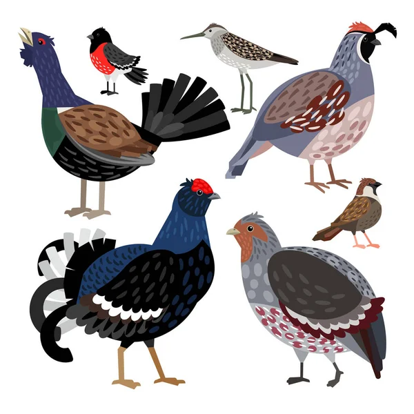 Красивый набор милых диких векторных изолированных птиц — стоковый вектор