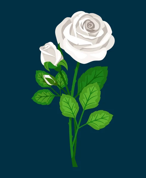 Vettore isolato del fiore bianco fresco del bocciolo di rosa — Vettoriale Stock