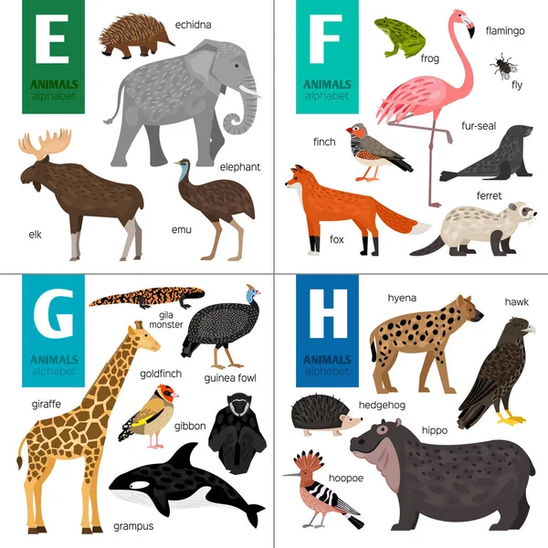 Abc animaux vecteurs différents. Alphabet zoo mignon. — Image vectorielle