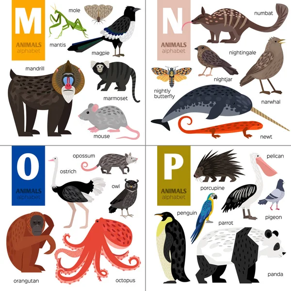 Abc různých vektorových zvířat. Roztomilá abeceda zoo. — Stockový vektor