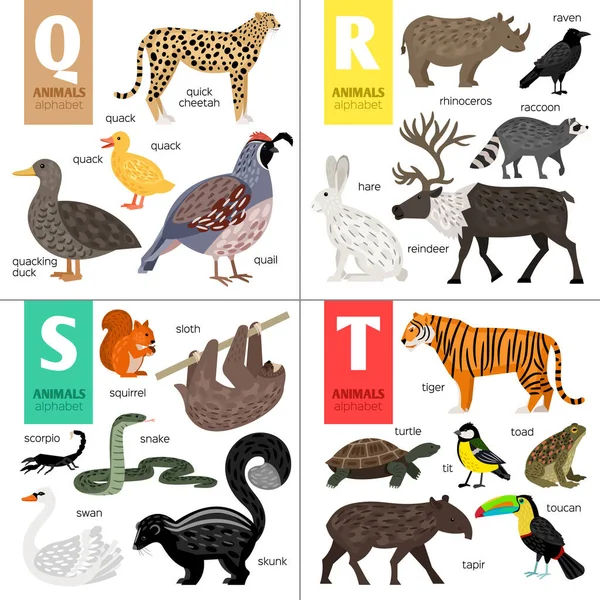 Abc different vector animals. Cute zoo alphabet. — Stock Vector