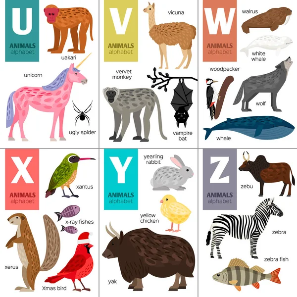 Abc different vector animals. Cute zoo alphabet. — Stock Vector