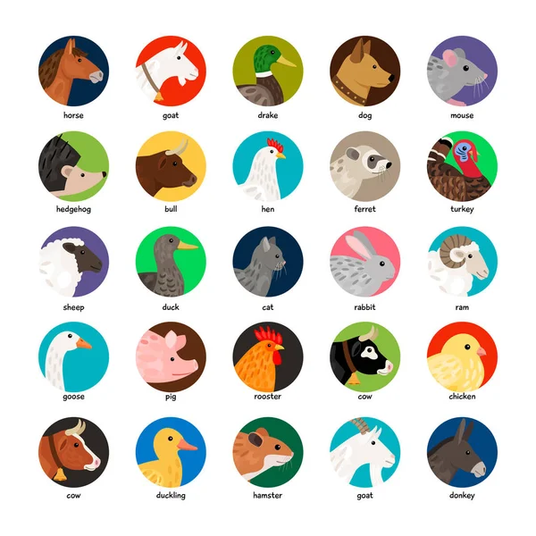 Grande conjunto de avatares diferentes com animais de fazenda Vetores De Bancos De Imagens