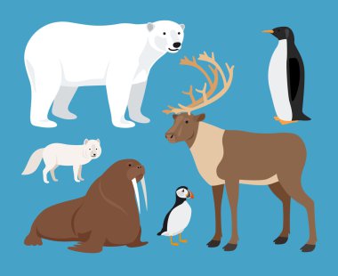 Kutup hayvanları kümesi