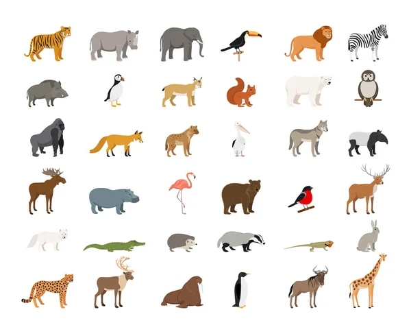 Big Collection of Wild Animals