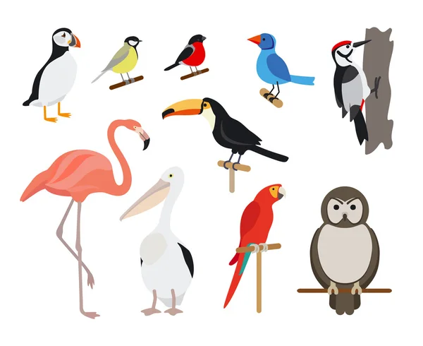 Vogelgruppe — Stockvektor