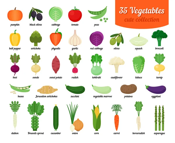 Collection of vegetable — Stock Vector