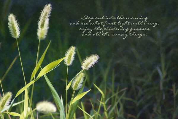 Mornings First Light Poem By Kathy Clark