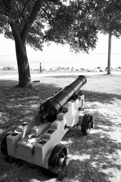 St Simon's Island Antique Cannon in Black and White — Stock Photo, Image