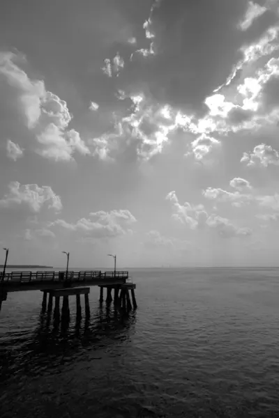St Simon Island Pier Georgia États-Unis Noir et blanc 4 — Photo