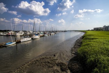 Gürcistan kıyı otlaklar ve yelkenli manzara 2