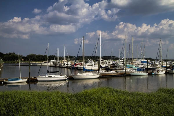 Georgia Ocean Coastal Grassland and Sailboat Landscape 4 — Stock Photo, Image