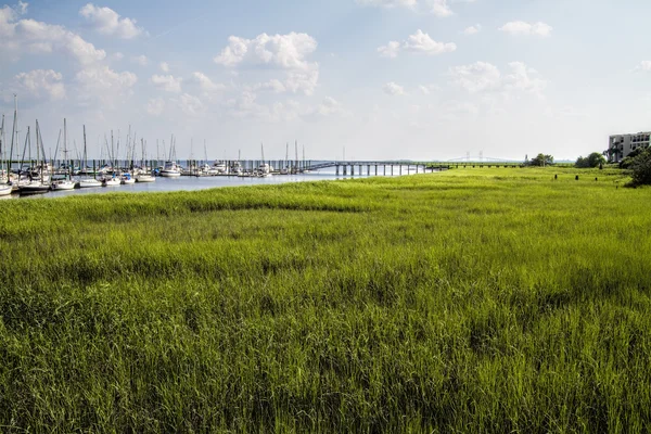 Georgia Coastal Grasslands and Sailboat Landscape 2 — Stock Photo, Image