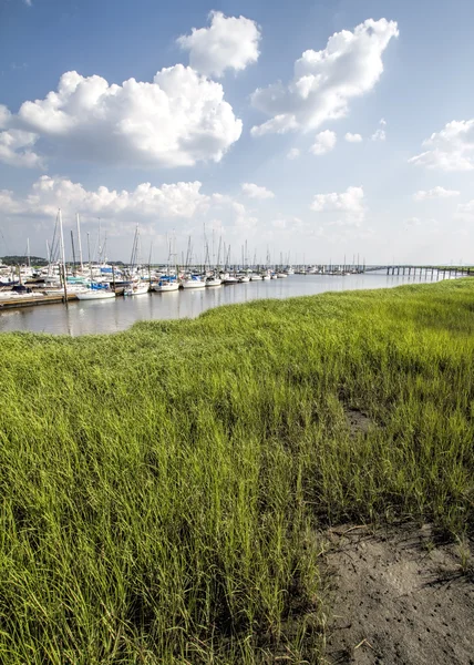 Georgia Coastal Grasslands ja purjevene Maisema 3 — kuvapankkivalokuva