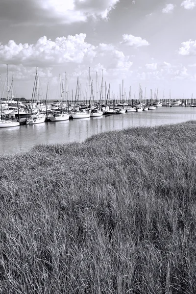 Georgia Ocean Coastal Grassland and Sailboat Landscape Black and White 3 — Stock Photo, Image