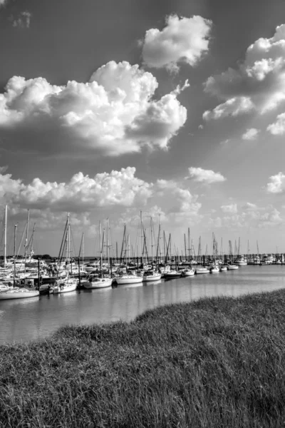 Georgia Ocean Coastal Grassland and Sailboat Landscape Black and White 2 — Stock Photo, Image