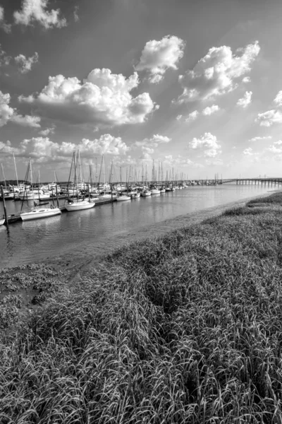 Georgia Ocean Coastal Grasslands and Sailboat Landscape Black and White 2 — Stock Photo, Image