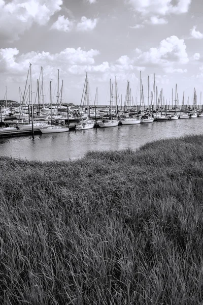 Geórgia Pastagens costeiras e veleiro Paisagem preto e branco — Fotografia de Stock