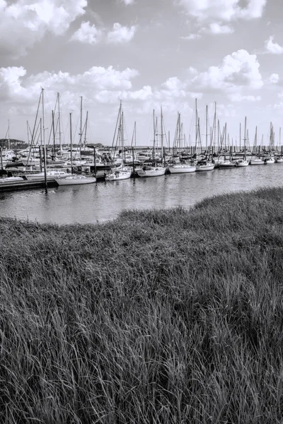 Georgië kust graslanden en zeilboot landschap zwart-wit — Stockfoto