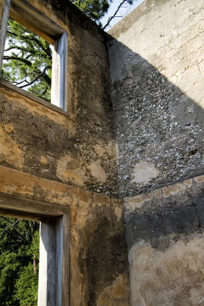 Konstrukce betonové zdi starožitný mourek Seashell — Stock fotografie