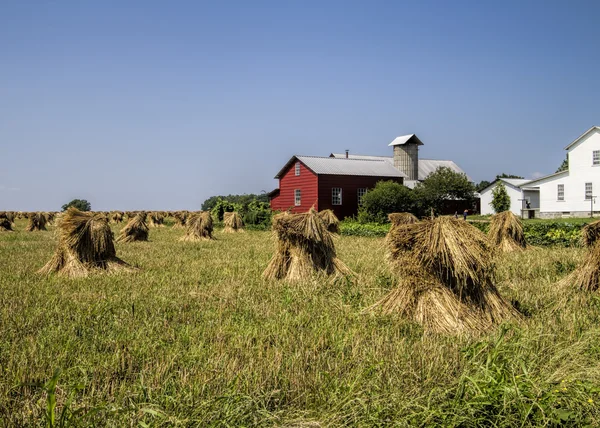 Stará klasická červená stodola a pšenice zásobníku krajina — Stock fotografie