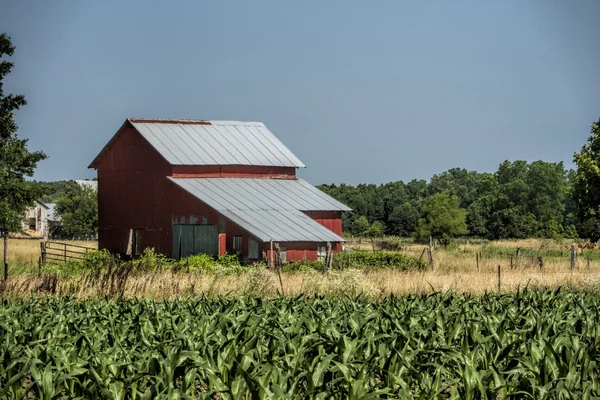 Régi klasszikus piros pajta és kukorica termés-tájon — Stock Fotó