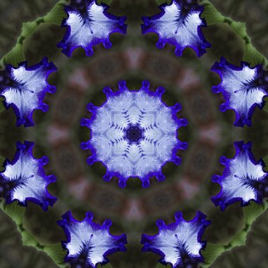 Mavi ve mor Iris Kaleidoscope