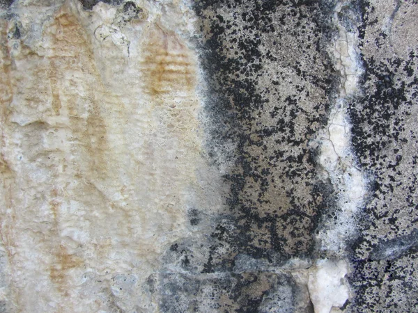 天然石のグランジ ロック カルシウム沈殿物のテクスチャ — ストック写真