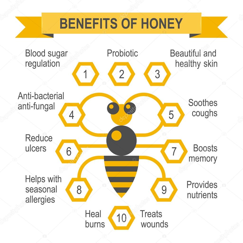 Healthy honey infographic placard.