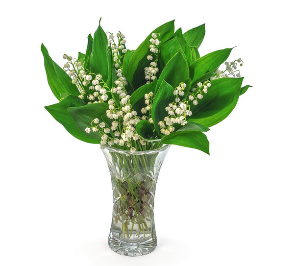 A bouquet of lily of the valley in a crystal vase isolated on white background.