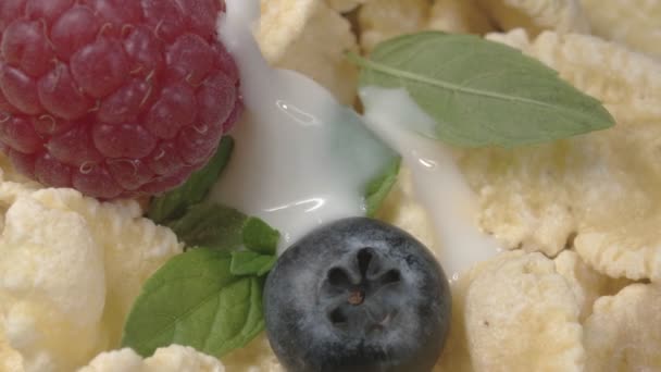 Dry breakfast with fresh berries and mint. Dairy product. Extreme macro. — Stock Video