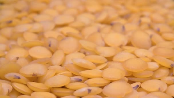 As lentilhas amarelas fecham. Imagem macro. Vídeo 4K. Leguminosas orgânicas. — Vídeo de Stock
