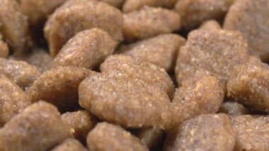 Kuru hayvan mamaları yakın çekim. 4K video. Süper makro. Kediler ve köpekler için yiyecek..