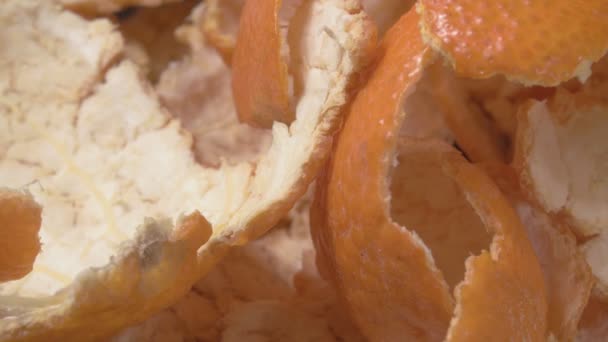 Gros plan sur la peau de mandarine. Agrumes. — Video