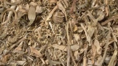 Kuru papatyaları eczaneye yakın çekiyoruz. Şifalı bitkiler. Tedavi için kuru çiçekler.